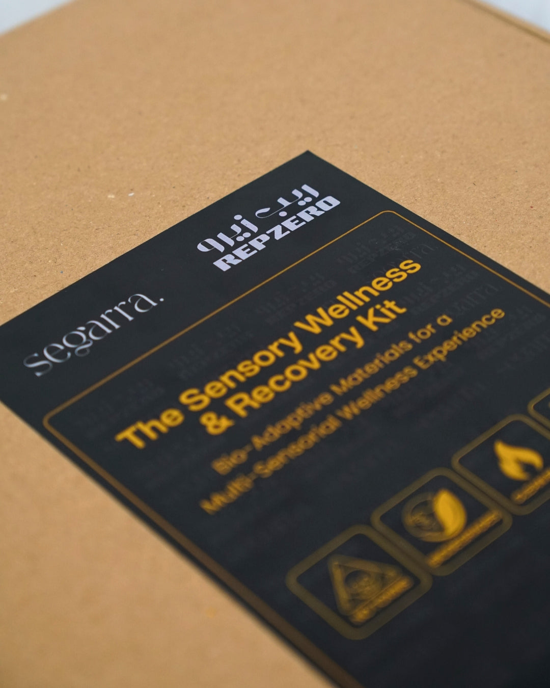 The Sensory Wellness & Recovery Kit